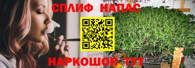 jwh Кимры