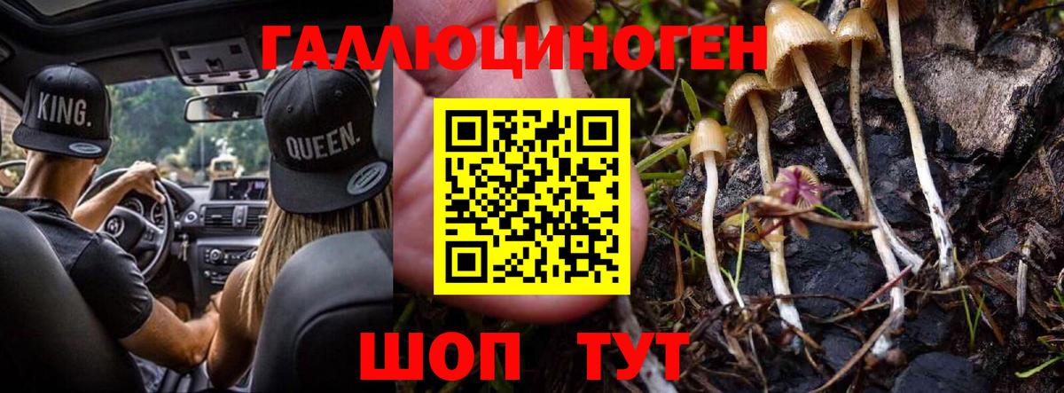 Галлюциногенные грибы прущие грибы Ковров